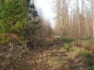 Маньківка з panoramio.com