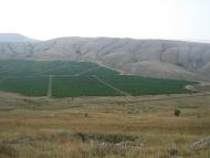 Підгірне з panoramio.com