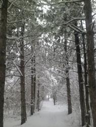 Долинка - Останні фото