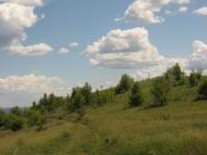 Григорівка з panoramio.com