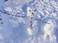 Купчинці - Останні фото