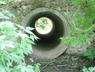 Скаргівка з panoramio.com
