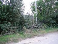 Люлинці з panoramio.com