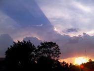 Новотимофіївка з panoramio.com