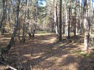 Лебедівка з panoramio.com