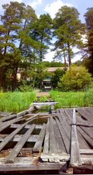 Верещиця - Останні фото