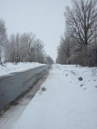 Огіївці з panoramio.com