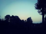 Природа нашого краю