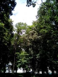 Шаргородські дива