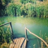 Природа нашого краю