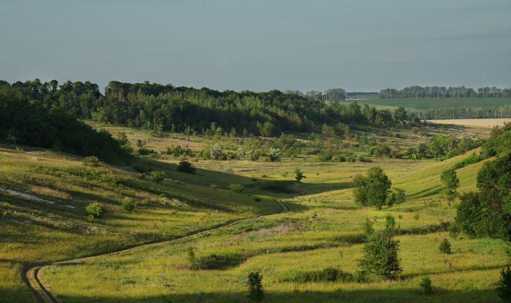 Чугунівка з panoramio.com - Чугунівка
