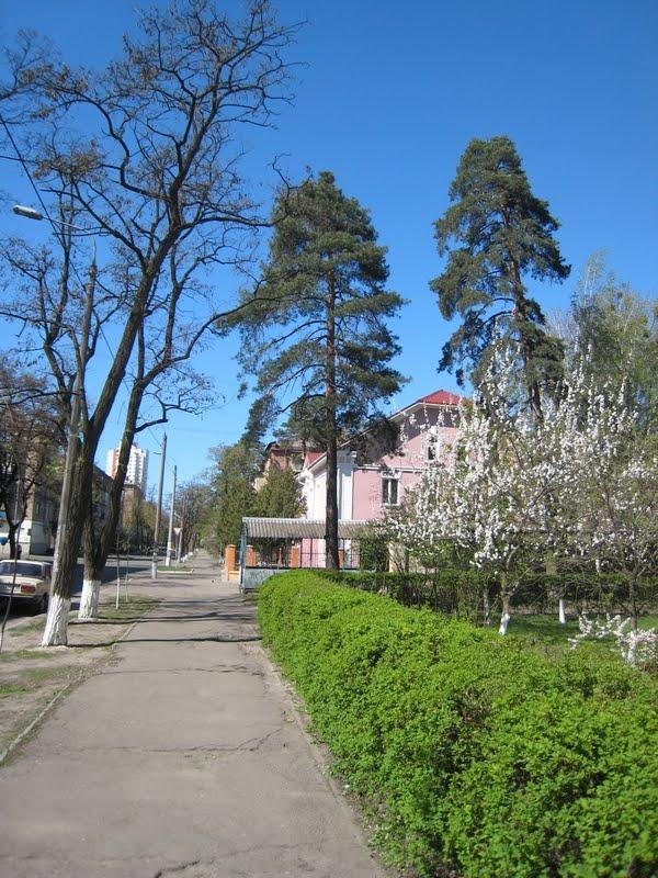 Гнідин з panoramio.com (ч.3) - Gnidyn