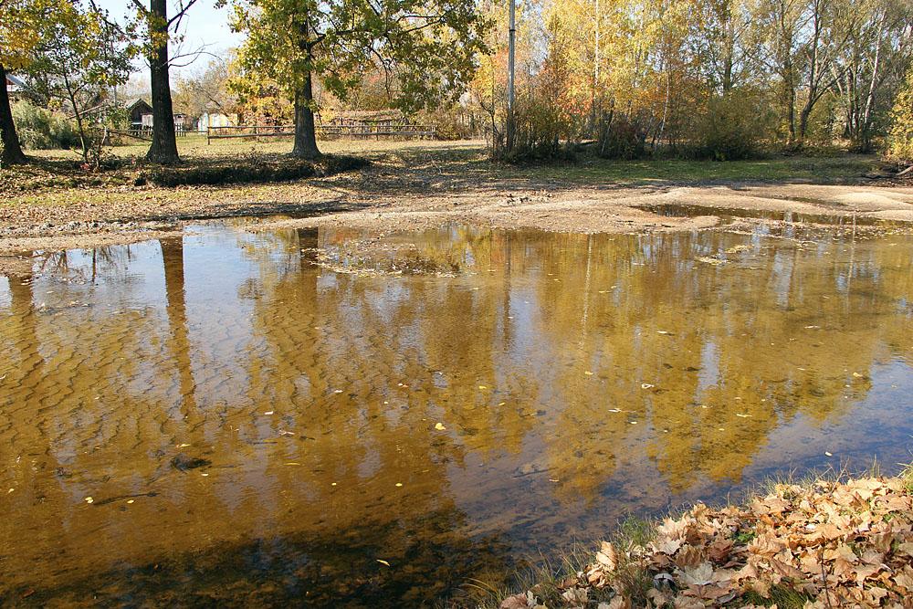 Рудня з panoramio.com - Rudnya