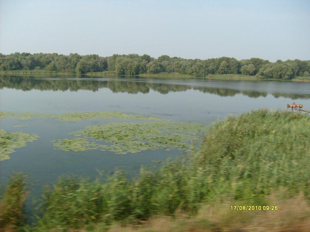 Кушугум з panoramio.com - Кушугум