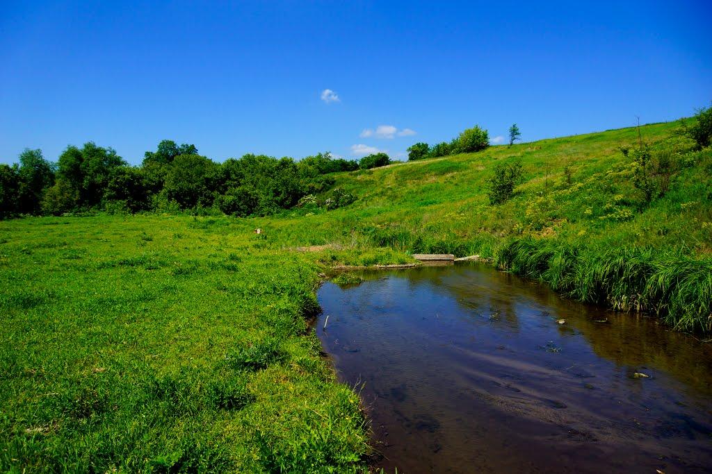 Побузьке з panoramio.com - Побугское
