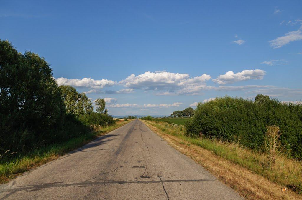 Розівка з panoramio.com (ч.2) - Розівка