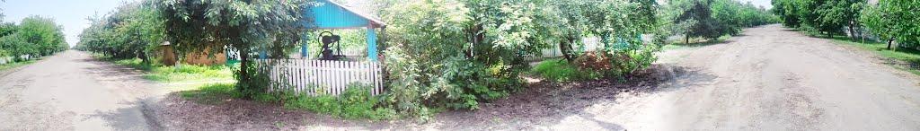 Червона Гребля з panoramio.com - Попова Гребля