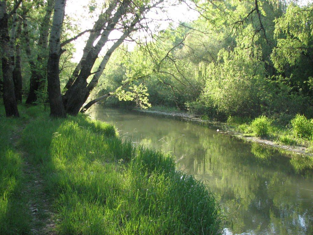 Яськи з panoramio.com - Яськи