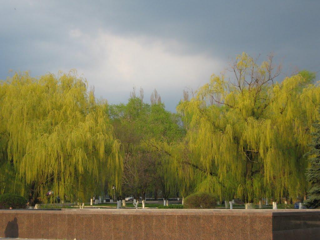 Шахтарськ з panoramio.com - Шахтерск
