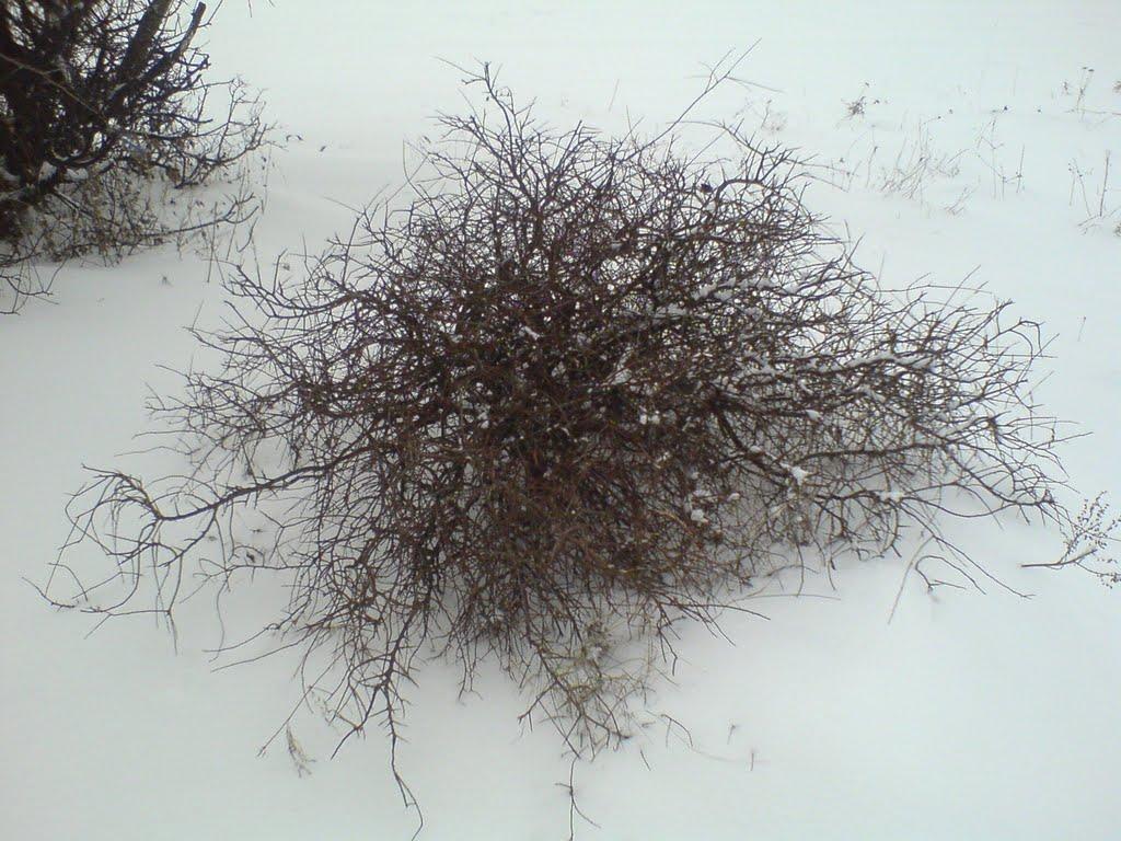 Івачів Горішній з panoramio.com - Ивачев Горишний