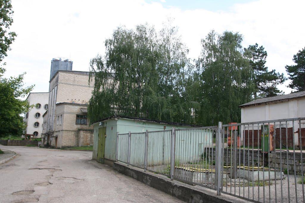 Научний з panoramio.com - Научний