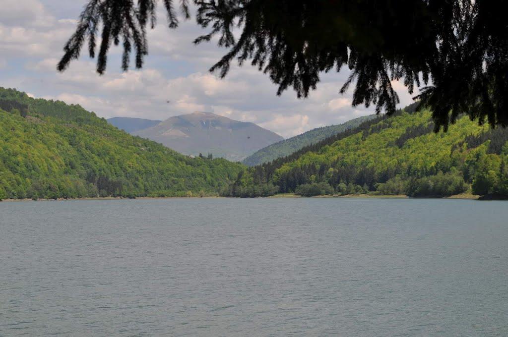 Вільшани з panoramio.com - Вільшани