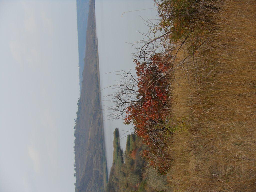 Алтестове з panoramio.com - Алтестове