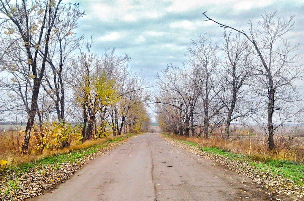 Миколаївські Сади з panoramio.com - Миколаївські Сади