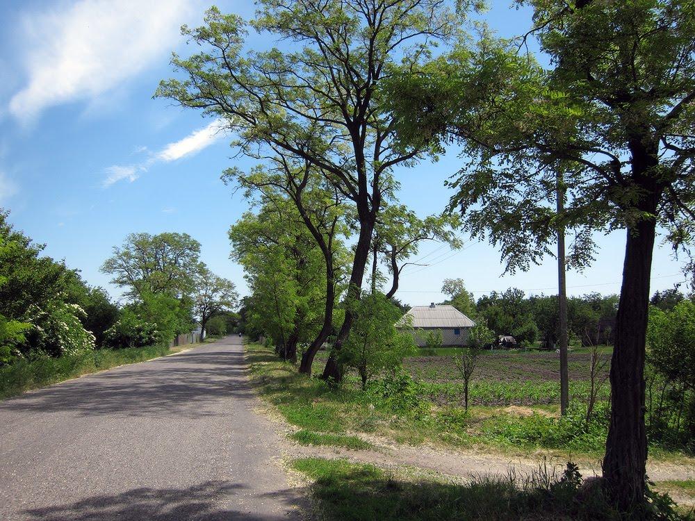 Гречане з panoramio.com - Гречаное