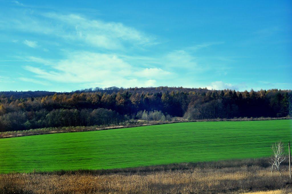 Погорільці з panoramio.com - Pogoriltsi