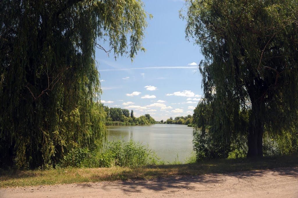 Першопокровка з panoramio.com - Першопокровка