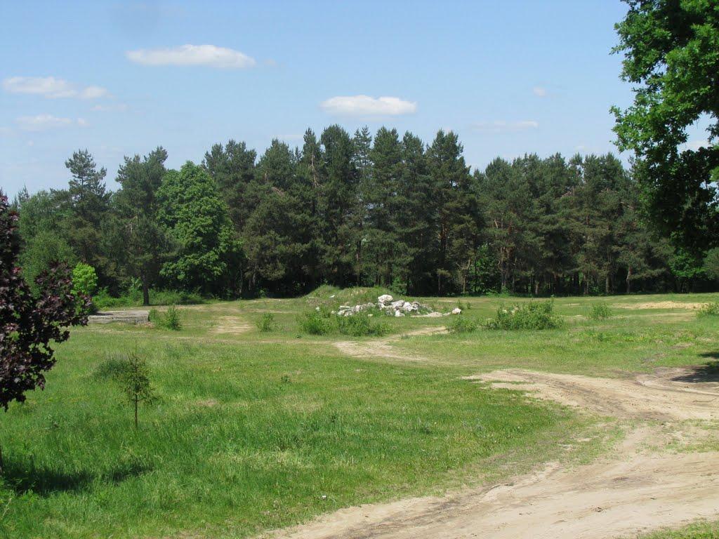 Козулька з panoramio.com - Козулька