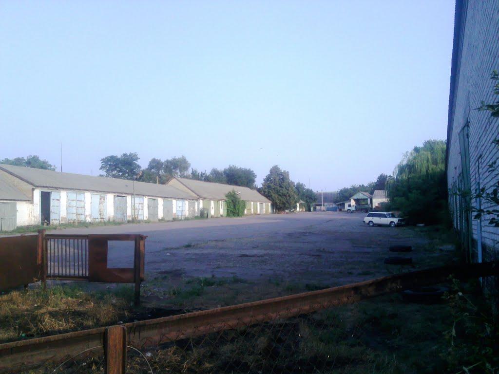 Покровське з panoramio.com - Покровське