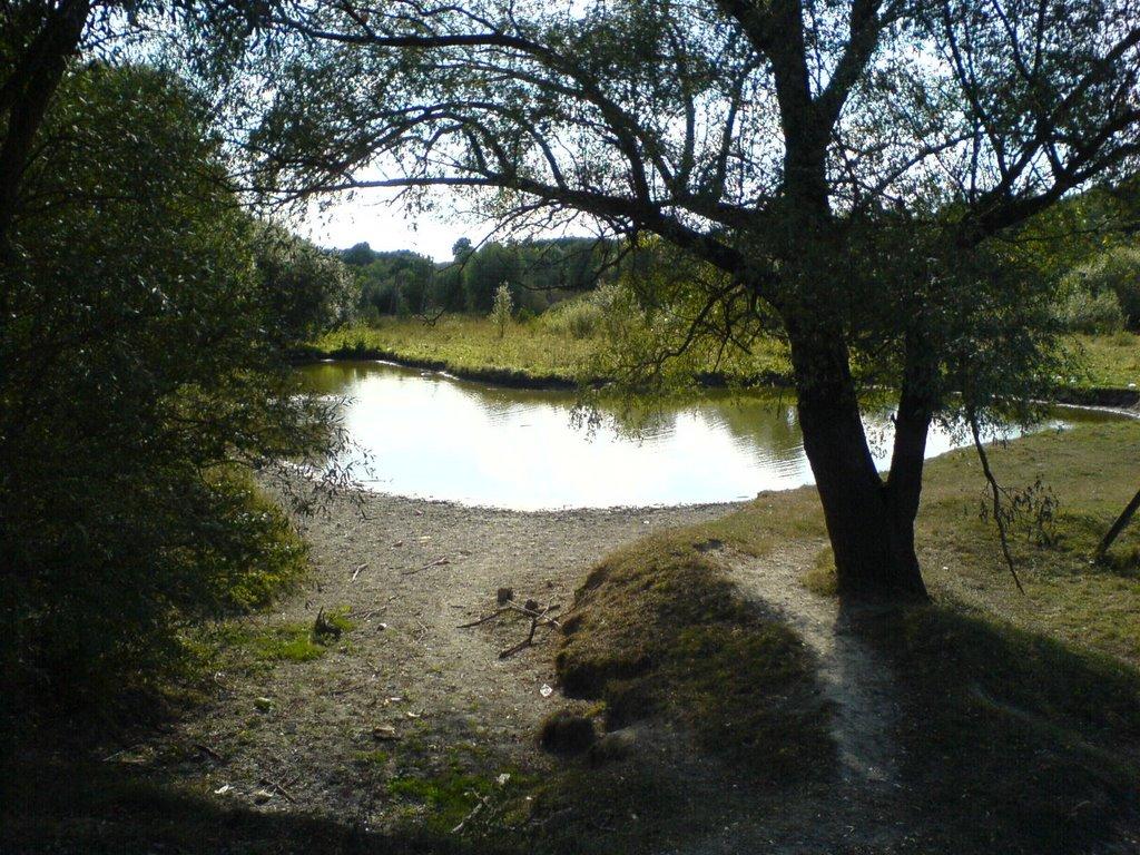 Сухоносівка з panoramio.com - Сухоносівка