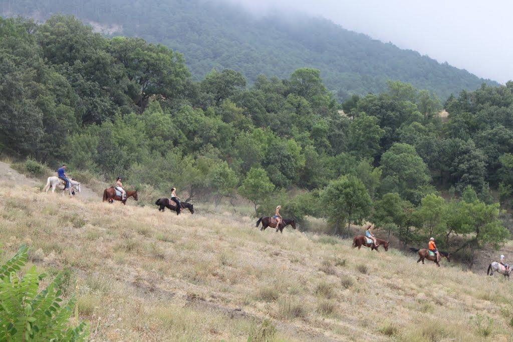 Відрадне з panoramio.com