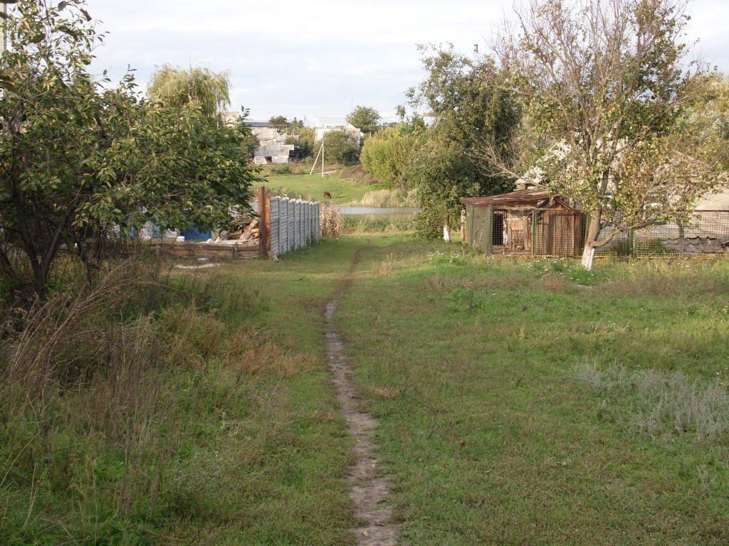 Кринички з panoramio.com - Кринички