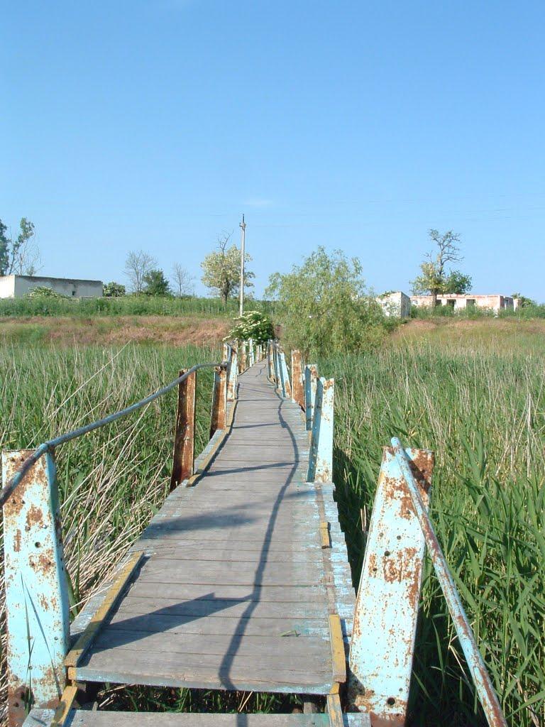 Грибівка з panoramio.com - Грибівка