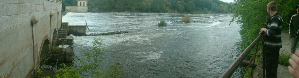 Осички з panoramio.com - Осички