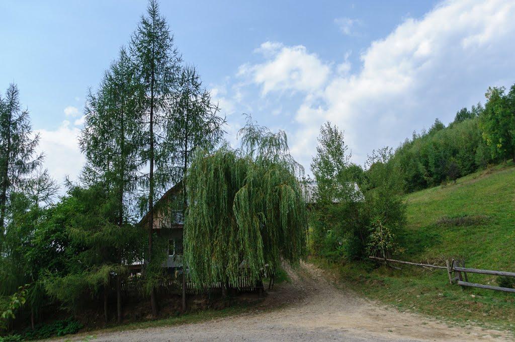 Вишка з panoramio.com - Вышка