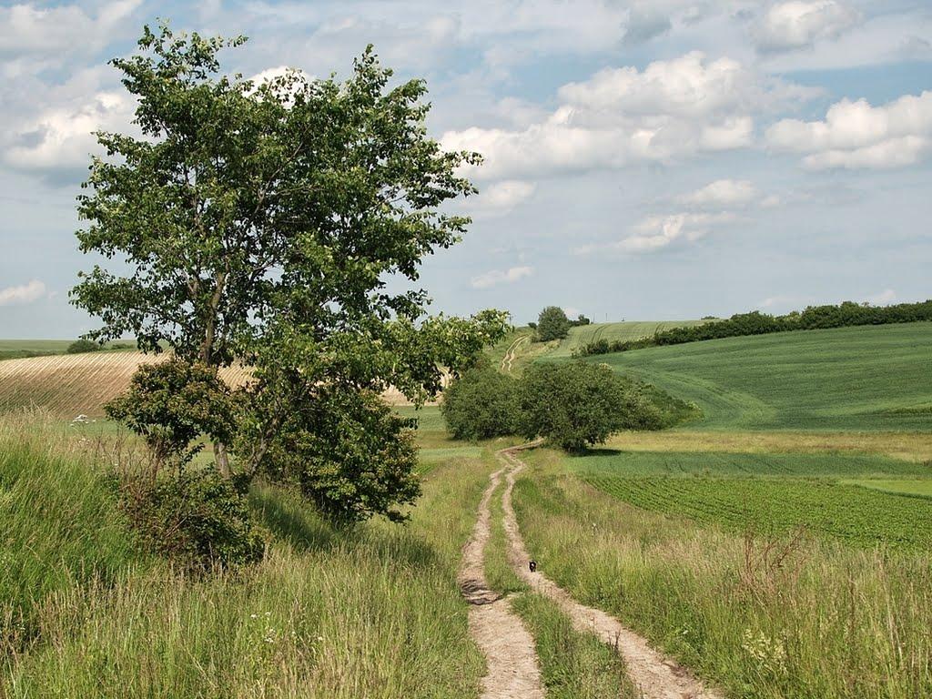 Перемисловичі з panoramio.com - Перемисловичі