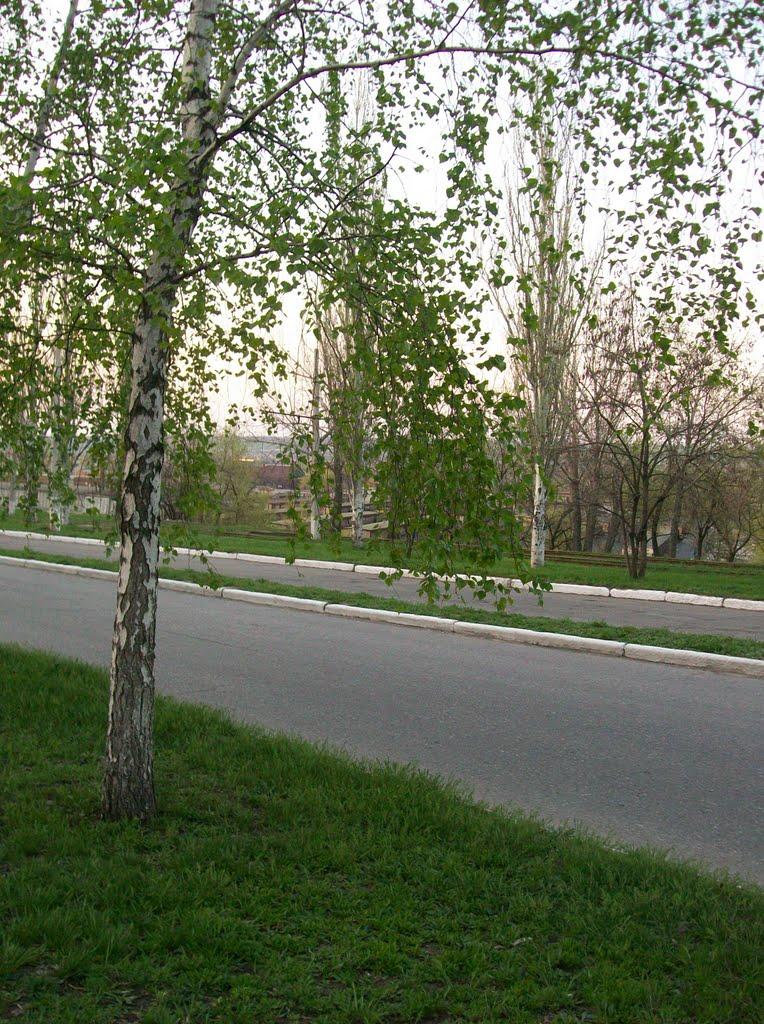 Дружківка з panoramio.com - Дружківка