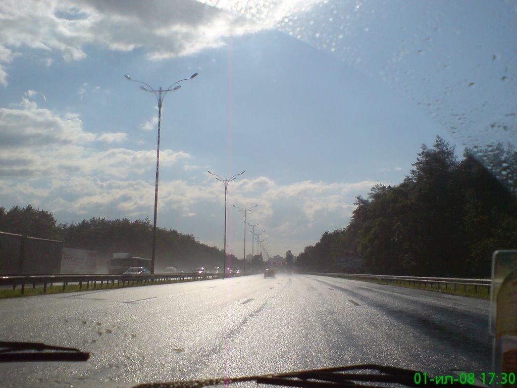 Проліски з panoramio.com - Пролески