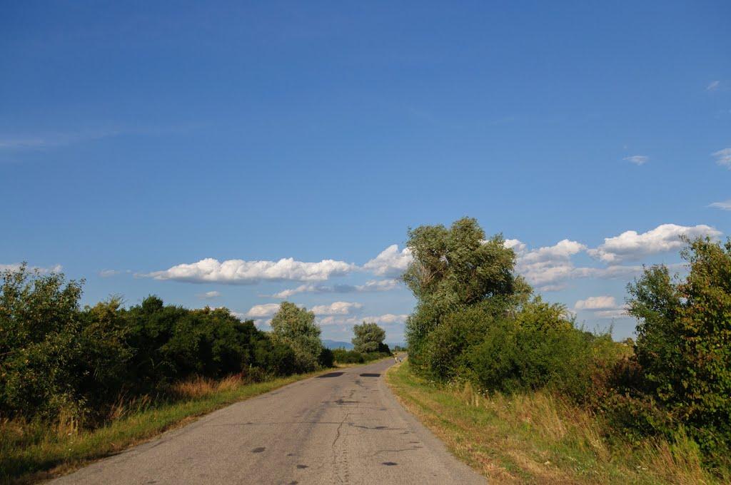 Розівка з panoramio.com (ч.2) - Розівка
