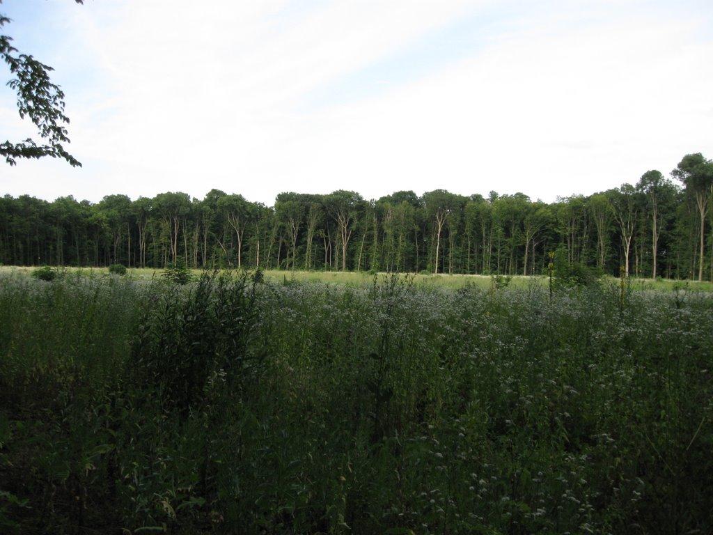 Лукашівка з panoramio.com - Лукашівка