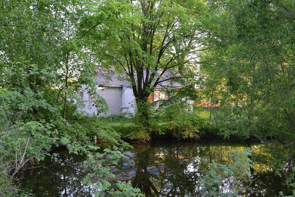 Облапи з panoramio.com - Облапи