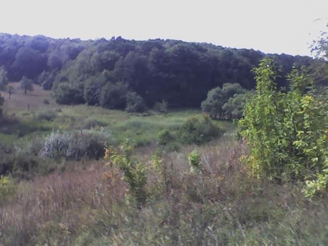 Сінне з panoramio.com - Сінне