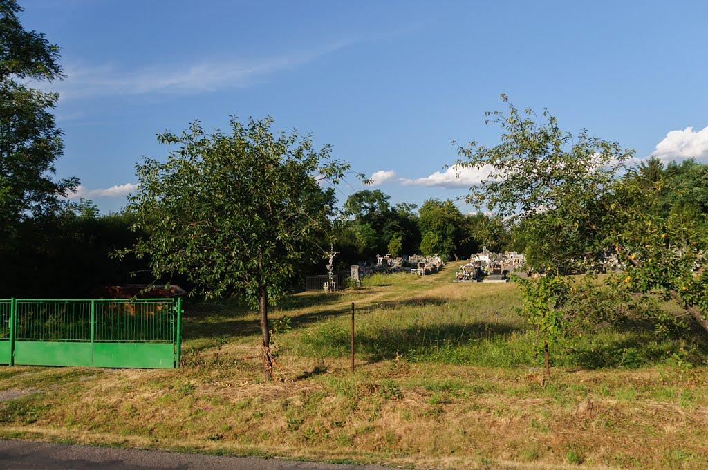 Розівка з panoramio.com (ч.2) - Розівка
