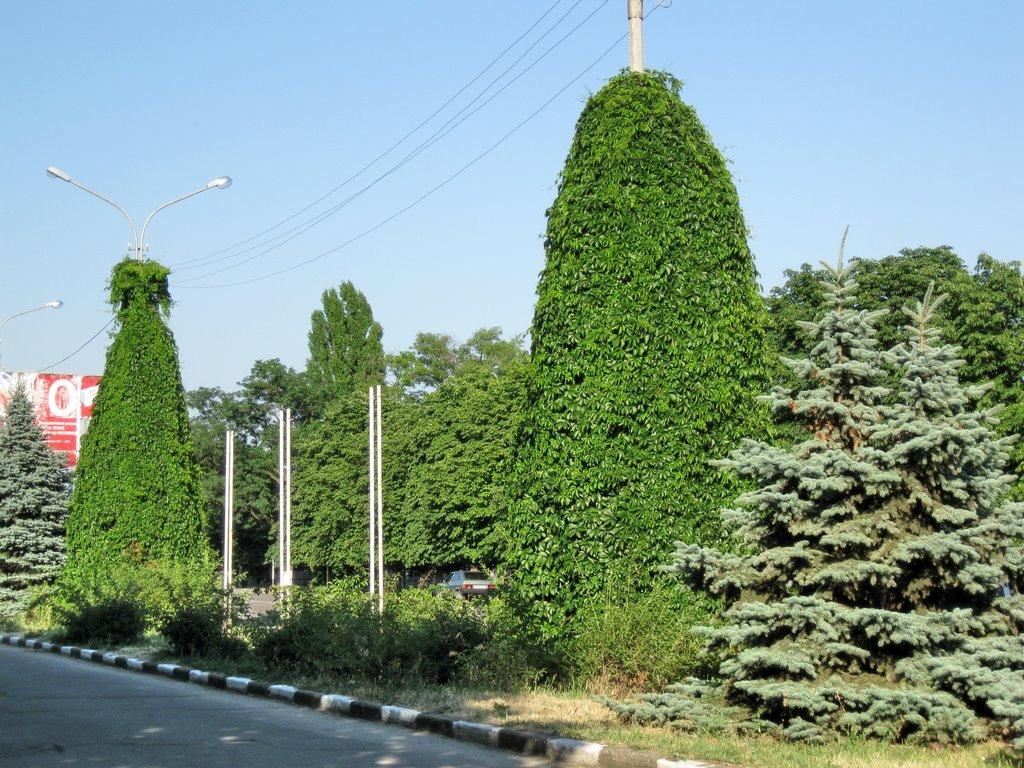 Нікополь з panoramio.com (ч.2) - Никополь