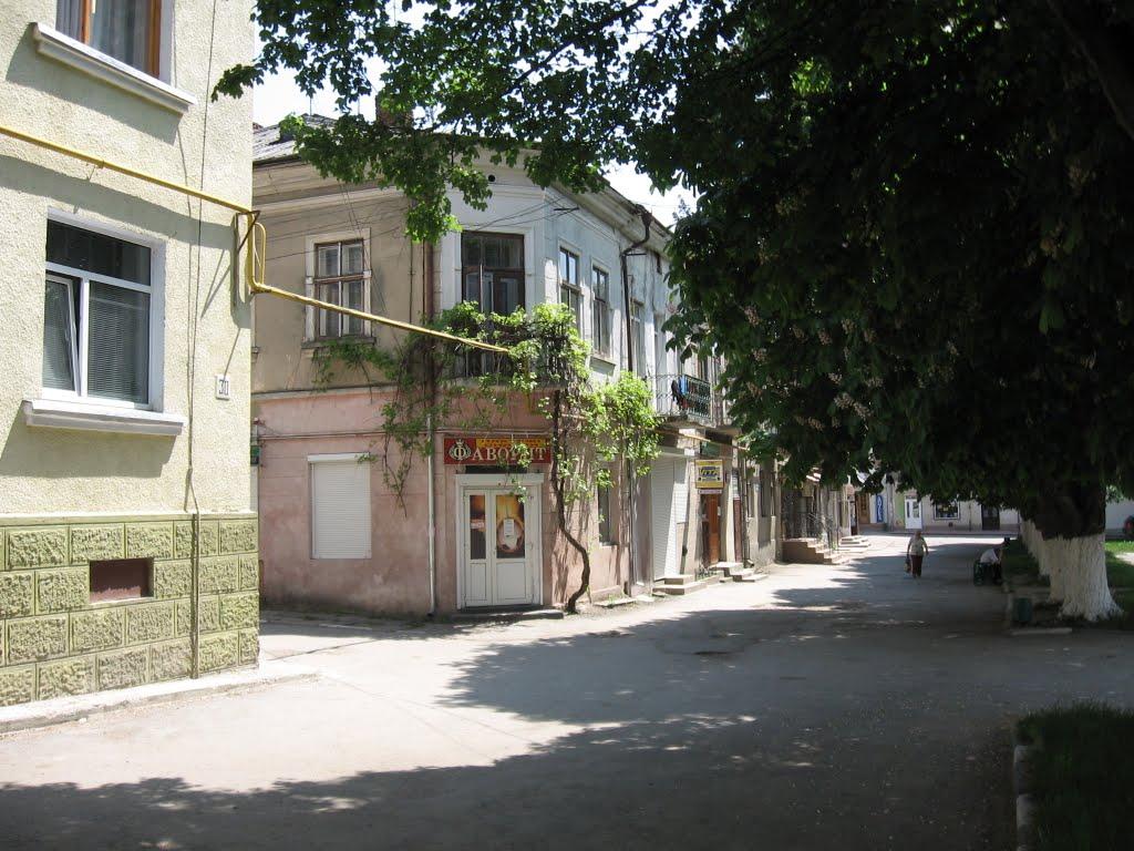 Кострижівка з panoramio.com - Кострижівка