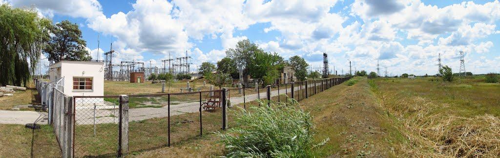 Кияшки з panoramio.com - Кияшки